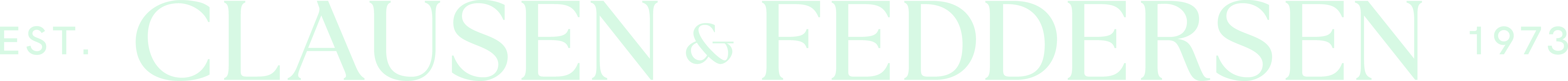 Clausen & Feddersen